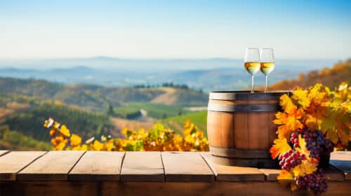 Toast To Harvest 2026 Banner &Ndash; Great River Road Wine Trail